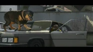 Trailer2.jpg (135 KB) Chop in the Grand Theft Auto V trailer.