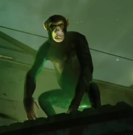 Monkey-GTAV