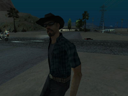 The Paranoid Cowboy in Smokey, at night.