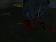 Gallery566.jpg (25 KB) The killer dead.