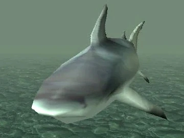Sharks (GTA SA) | GTA Myths Wiki | Fandom