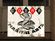 Cobra MarItal Arts