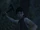 The Axeman