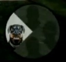 GTA 5 playing as chop.jpg (4 KB) Chop's character selection icon.