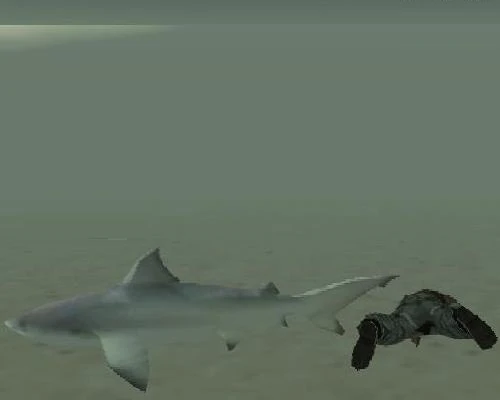 Shark_gta_san_andreas.jpg