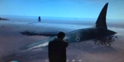 A shark mod, possibly inspired by the whale myth.