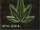 Still D.R.E.