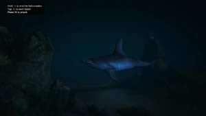 Акула-Молот