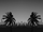 Community-header-background