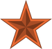 Bronze Star