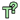 Тоня Уиггинс