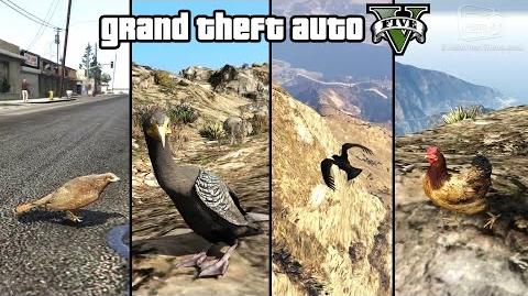 GTA 5 - Play as a Bird (Chicken, Seagull, Hawk, Crow and more) -PS4 & Xbox One-