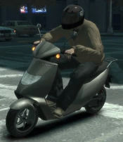 Faggio (IV)