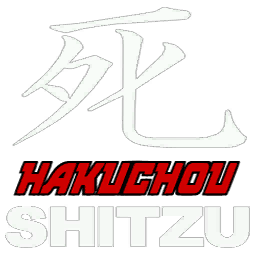 Иероглиф на обтекателе, означающий «смерть» в переводе на русский язык