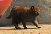 Cat-GTAV-screenshot