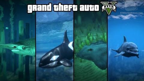 GTA 5 - Play as a Fish (Shark, Dolphin, Killer Whale, Stingray & more) PS4 & Xbox One