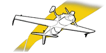 Inverted-flight-logo