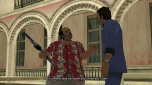 Во время расстрела голубей