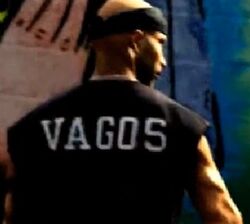 Die Los Santos Vagos sind eingereißt - Flamerbude