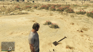 Shovel-GTAV-TrevorSwitch.png (3,25 Мб) Тревор возле лопаты