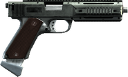 AP Pistol