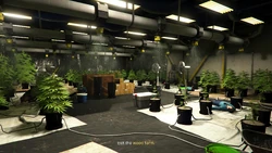 An Epsilonists' Weed Farm.