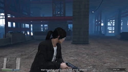 Wait for ULP to give access to the drone cameras