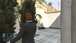 Lose the cops