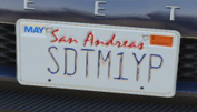 CustomLicense-GTAV-SDTM1YP.png