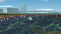 The beach ball in a swimming pool in the backyard of the northern-most Starfish Island mansion.