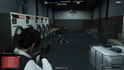 Steal the cash