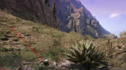 Peyote Plants GTAVe 04 Mt ChiliadNorth View.jpg