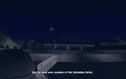 The news report says that the bodies of the dead were recognized by the police to be members of the Colombian Cartel.