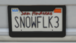 Custom Plate GTAO SN0WFLK3