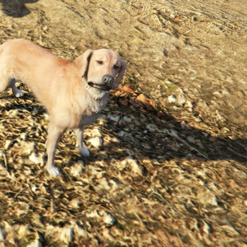 gta wiki fandom