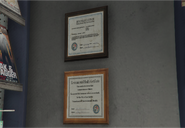 A Los Santos Department of Consumer Affairs business license for the store.