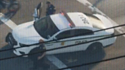A Vice-Dale Police Department Police Cruiser seen in the first trailer.