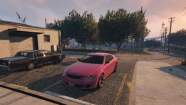 Chantelle's pink Zion.