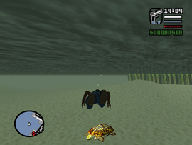 A sea turtle in Grand Theft Auto: San Andreas.