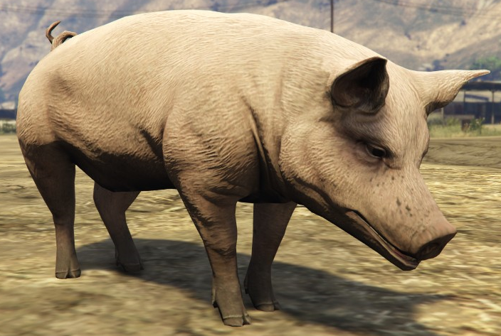 Pigs | GTA Wiki | Fandom