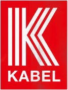 A Alternative version of the modern logo in a vertical box.