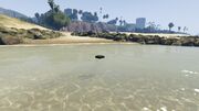 Stockpiling-GTAO-WestLS-Sea-PacificBluffs