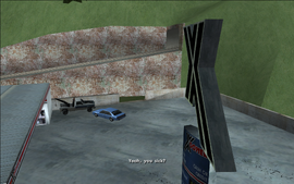WearFlowersInYourHair-GTASA-SS55