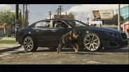 Chop running next to a Felon in GTA V.