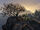 Pctree full.jpg