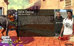 EntryScreen-GTAO-BikersBonusWeek.png (3.5 MB) EntryScreen-GTAO-BikersBonusWeek