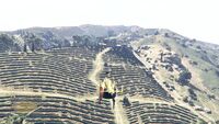 HelicopterTour-GTAOee-Set3-MarloweVineyards