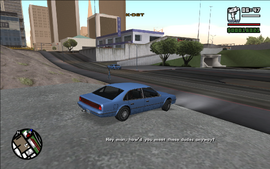 WearFlowersInYourHair-GTASA-SS35