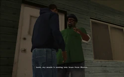 Smoke tells CJ that his cousin is arriving to Los Santos from Mexico and that they should go and pick "her" up.