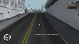 并认为他说的一些话并不是胡扯